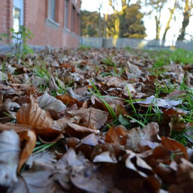 photoclub06