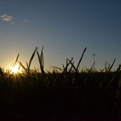 photoclub09