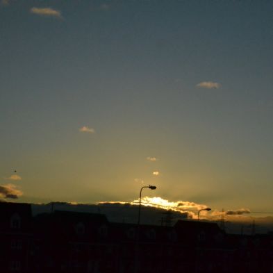 photoclub12
