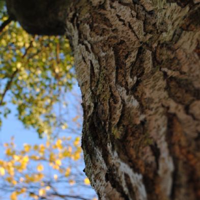 photoclub13