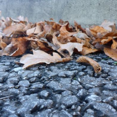 photoclub29