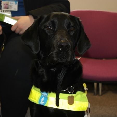 sutton_05