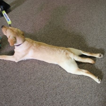 sutton_08