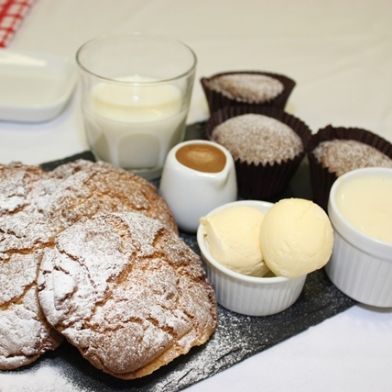 y11_food20
