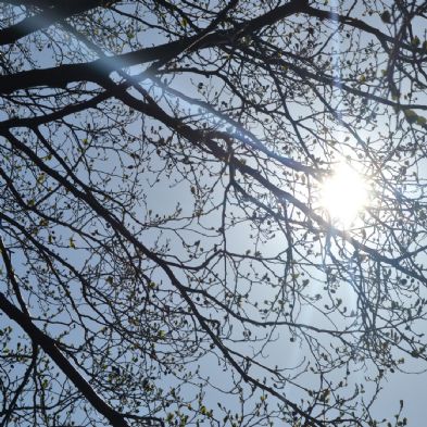 photoclub_03