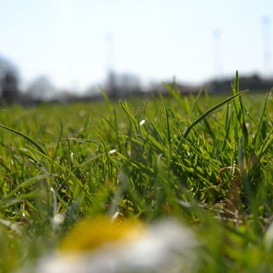 photoclub_06