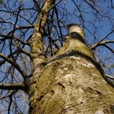 photoclub_14