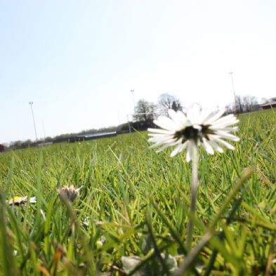 photoclub_18