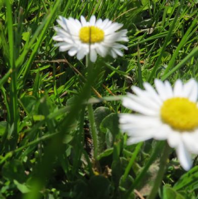 photoclub_23