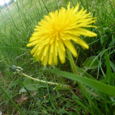 photoc11