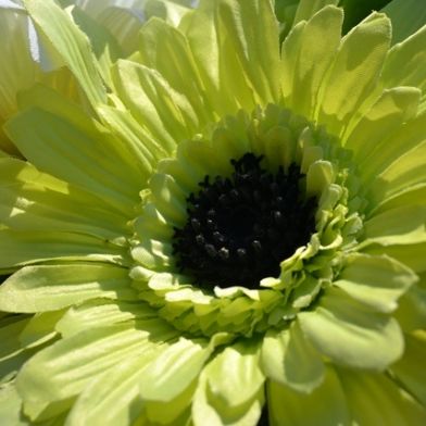 tsa_flowers07