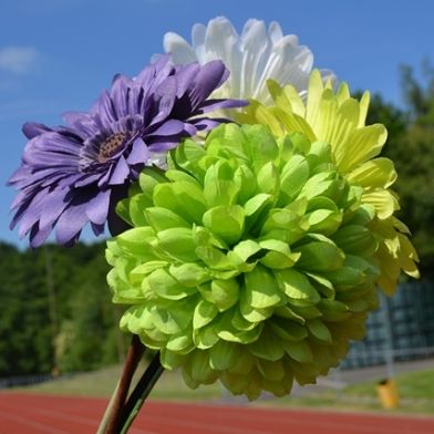 tsa_flowers08