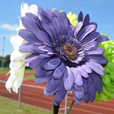 tsa_flowers10