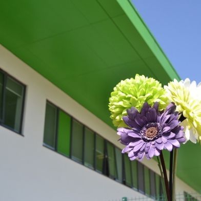 tsa_flowers12