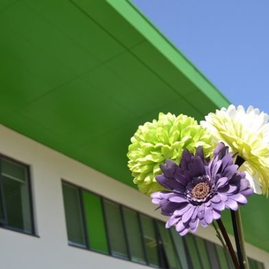 tsa_flowers13
