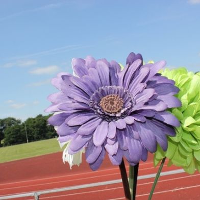 tsa_flowers17