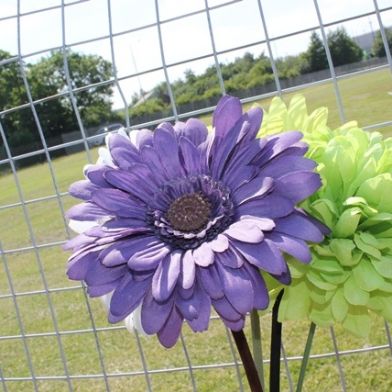 tsa_flowers18