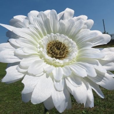 tsa_flowers19
