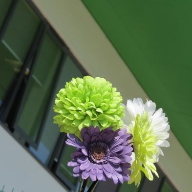 tsa_flowers20