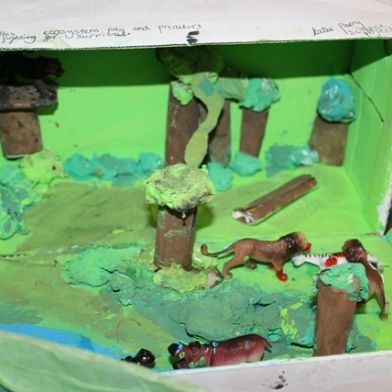 tsa_ScienceProject_06