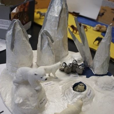tsa_ScienceProject_12