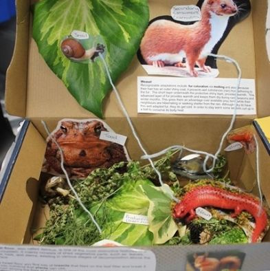 tsa_ScienceProject_14