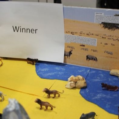 tsa_ScienceProject_15