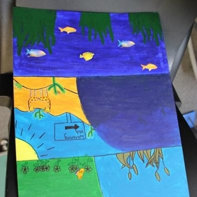 tsa_ScienceProject_19