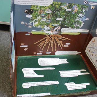 tsa_ScienceProject_23