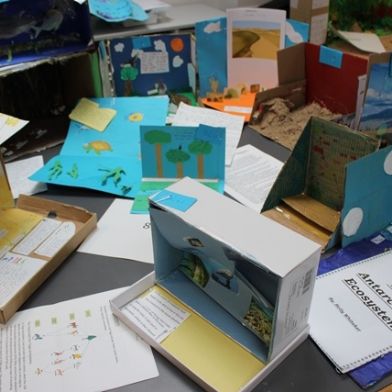 tsa_ScienceProject_24