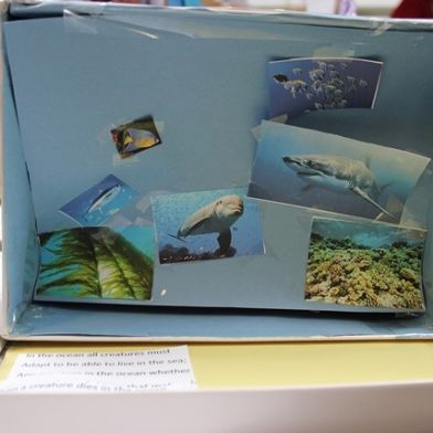 tsa_ScienceProject_26