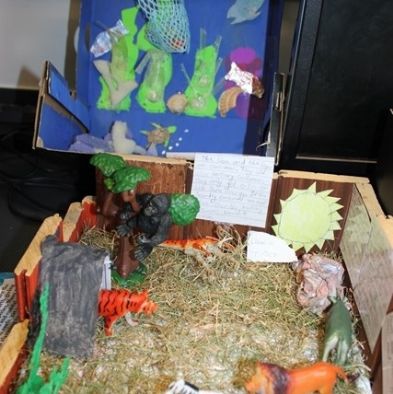 tsa_ScienceProject_39