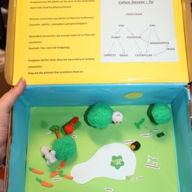 tsa_ScienceProject_40