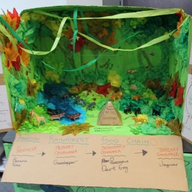 tsa_ScienceProject_44