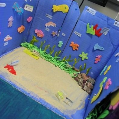 tsa_ScienceProject_45