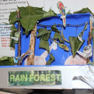 tsa_ScienceProject_47