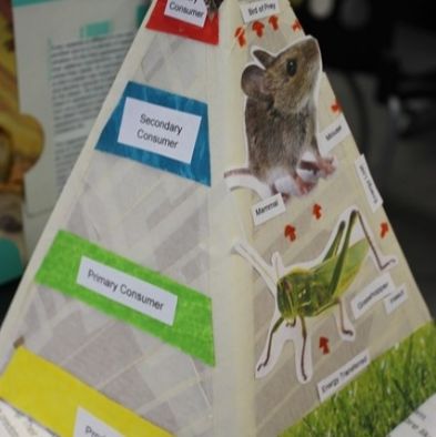 tsa_ScienceProject_52