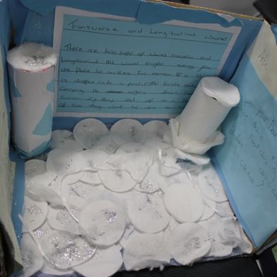 tsa_ScienceProject_53