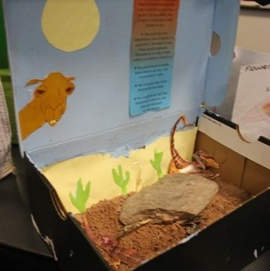 tsa_ScienceProject_54