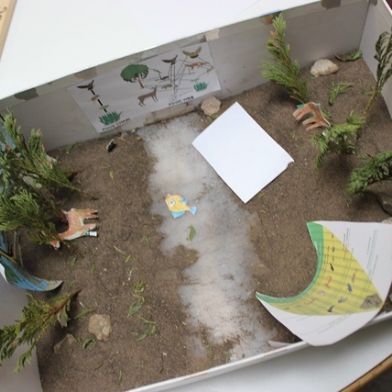 tsa_ScienceProject_55