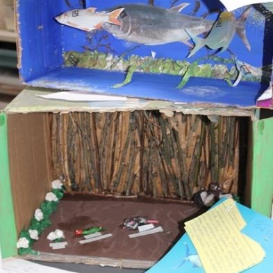 tsa_ScienceProject_56