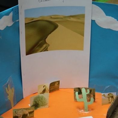 tsa_ScienceProject_57