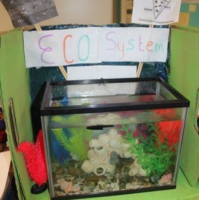 tsa_ScienceProject_64