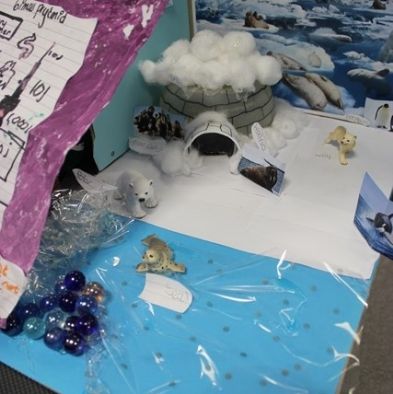 tsa_ScienceProject_65