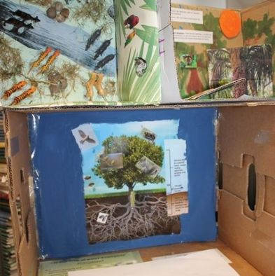 tsa_ScienceProject_70