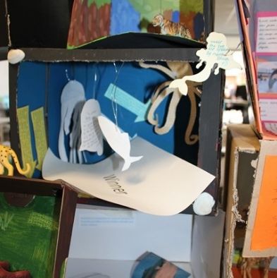 tsa_ScienceProject_71