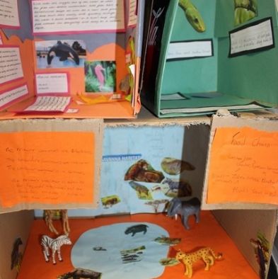 tsa_ScienceProject_72