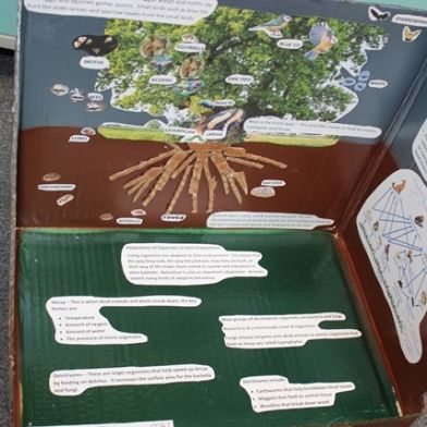 tsa_ScienceProject_73
