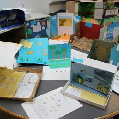 tsa_ScienceProject_74