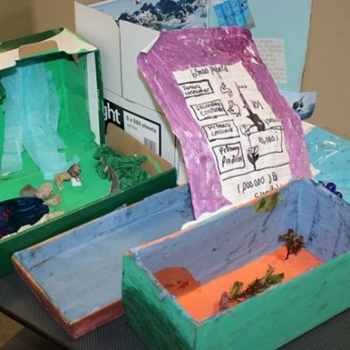 tsa_ScienceProject_81
